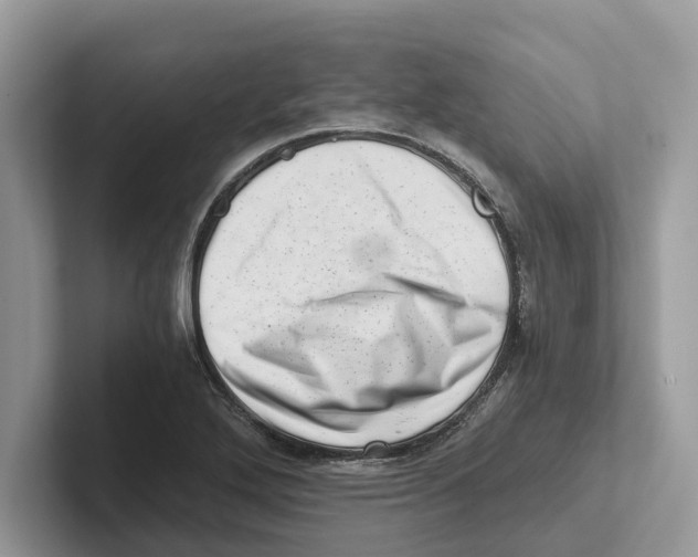 X0000100931272200807221129