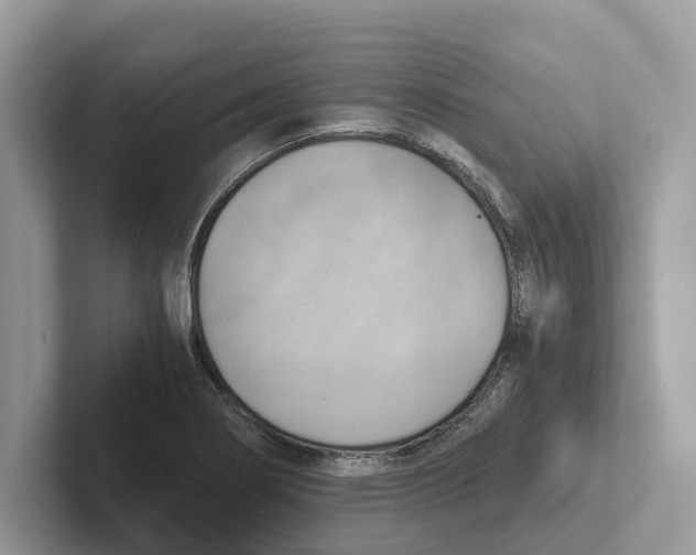 X0000100931274200807221129