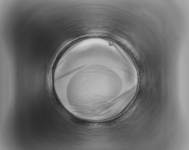 X0000100931275200807221129