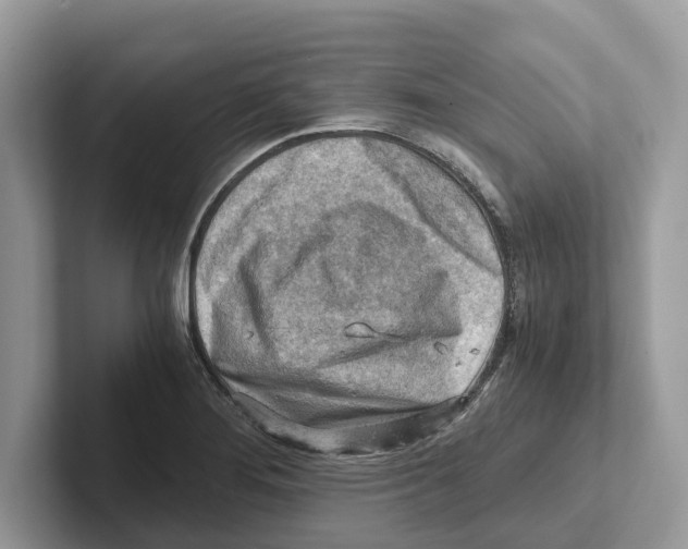 X0000100931276200807221129