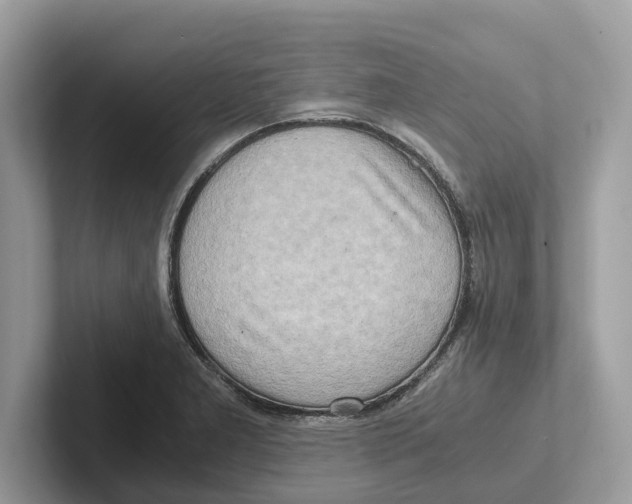 X0000100931277200807221129