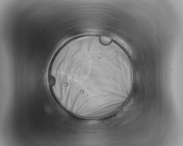 X0000100931283200807221129