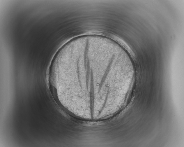 X0000100931284200807221129