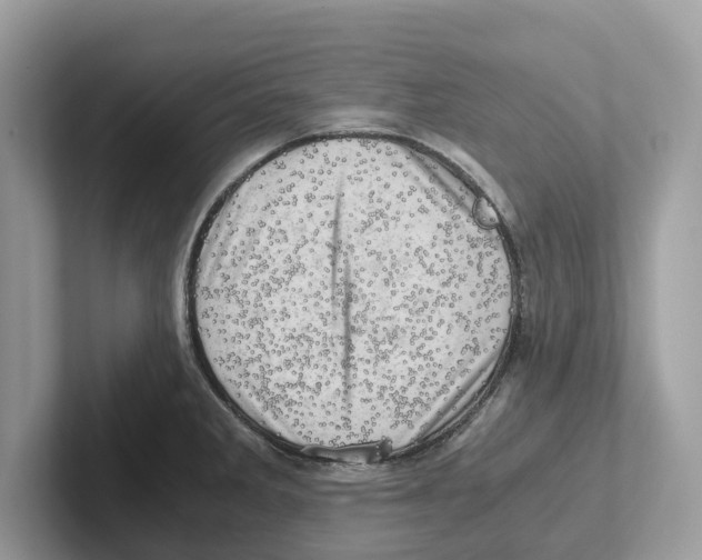 X0000100931285200807221129