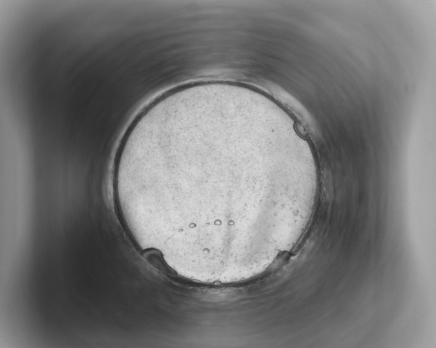 X0000100931288200807221129