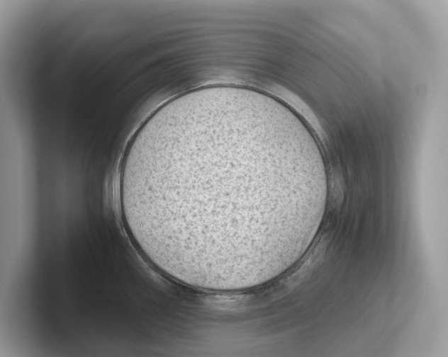 X0000100931290200807221129