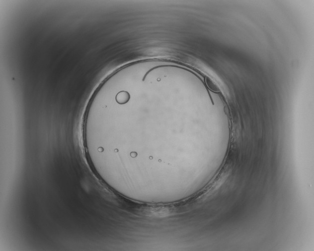 X0000100931291200807221129