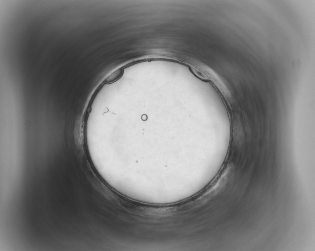 X0000100931292200807221129