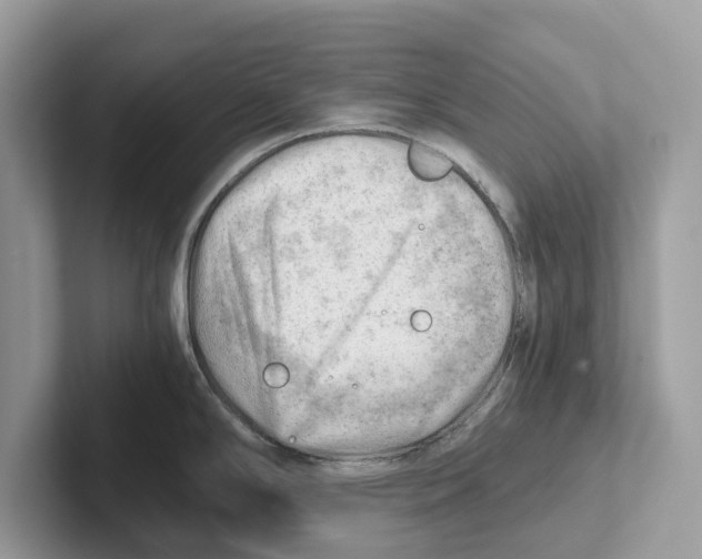 X0000100931294200807221129