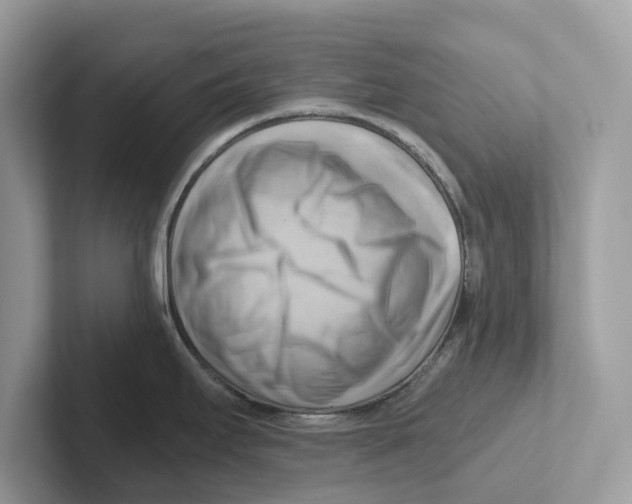 X0000100931295200807221129