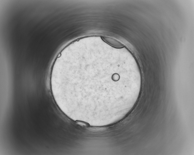 X0000100931296200807221129