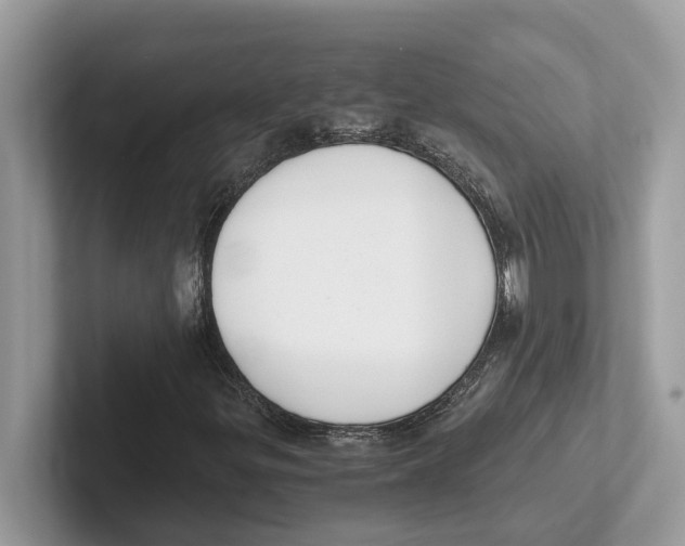 X0000100931299200807221128