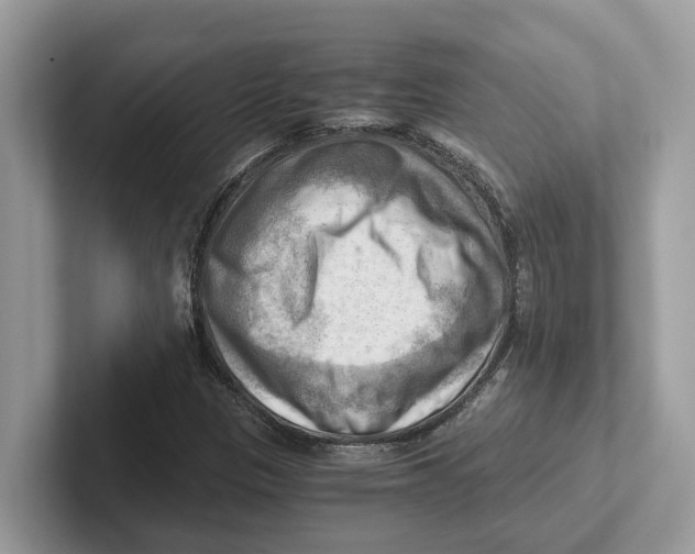 X0000100931305200807221128