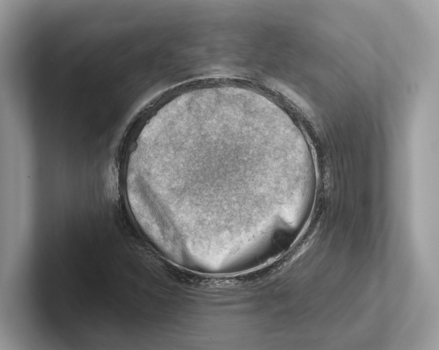 X0000100931310200807221129