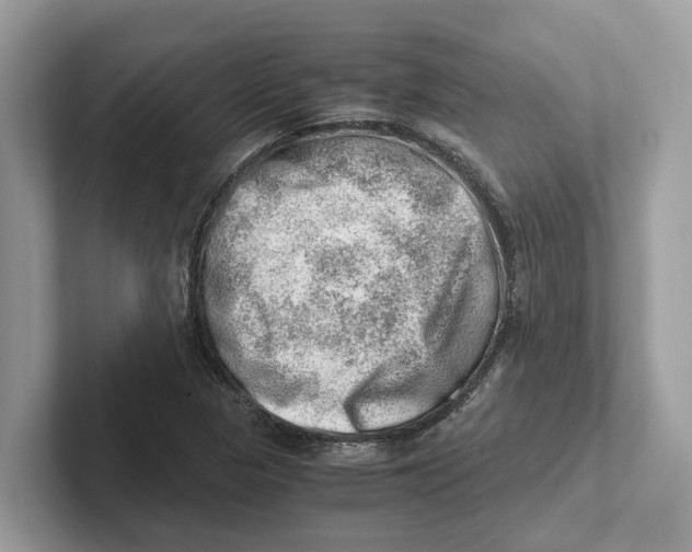 X0000100931313200807221129