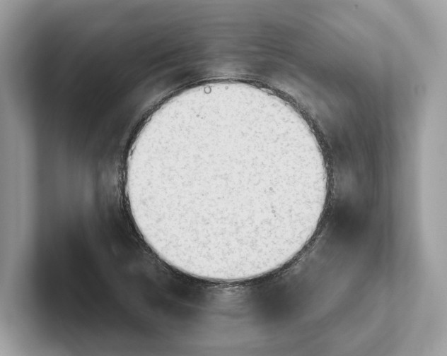 X0000100931314200807221129