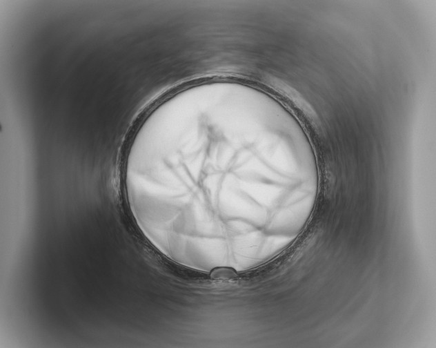 X0000100931316200807221129