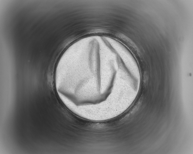 X0000100931321200807221129