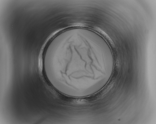 X0000100931323200807221129