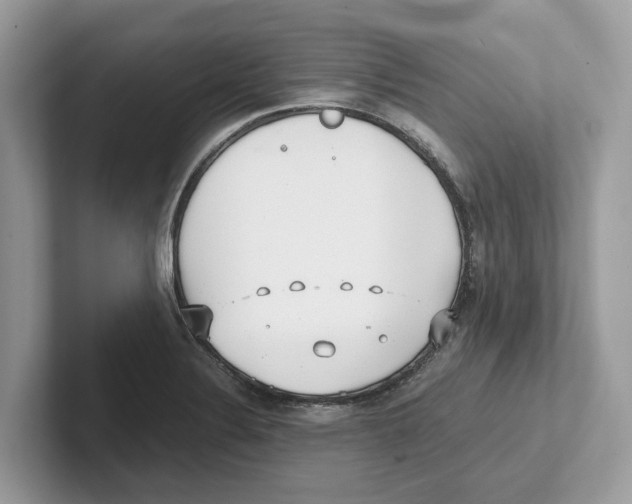 X0000100931324200807221129