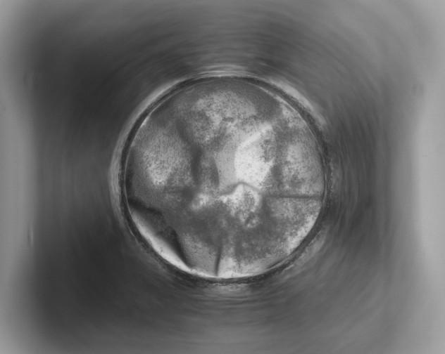 X0000100931325200807221129