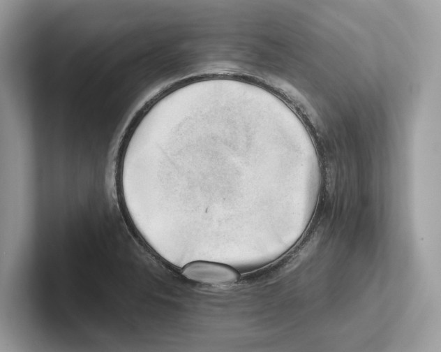 X0000100931326200807221129