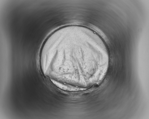 X0000100931332200807221129