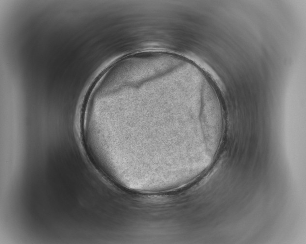 X0000100931333200807221129