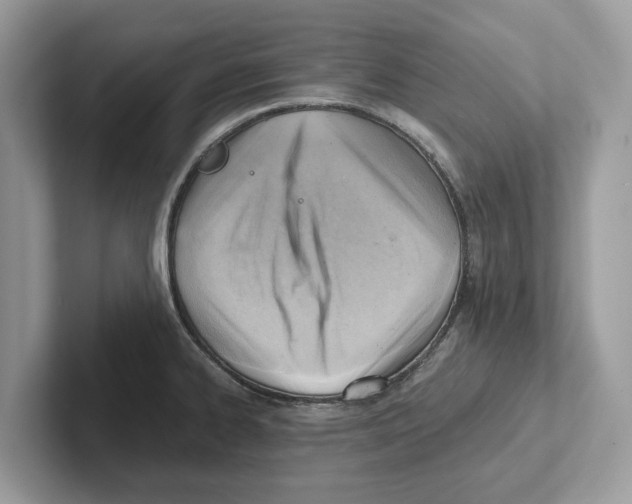 X0000100931334200807221129