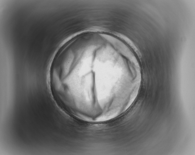 X0000100931335200807221129