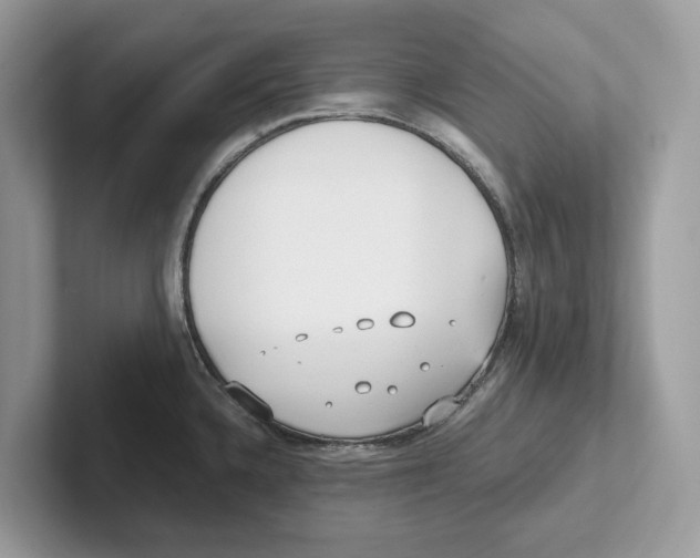 X0000100931336200807221129