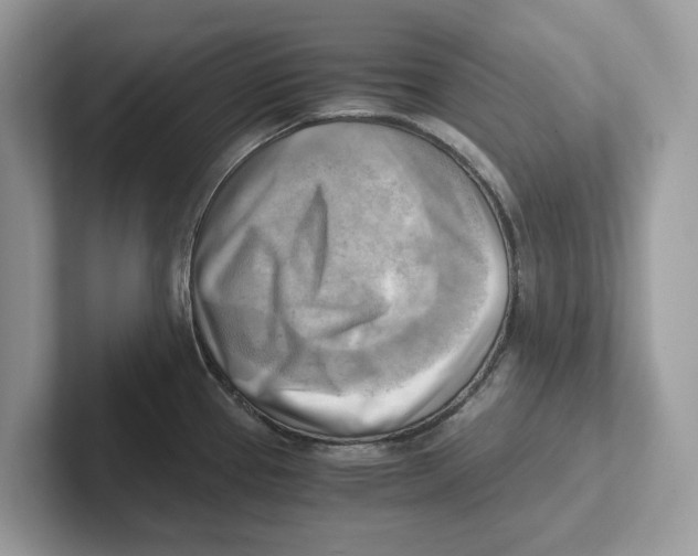 X0000100931337200807221129