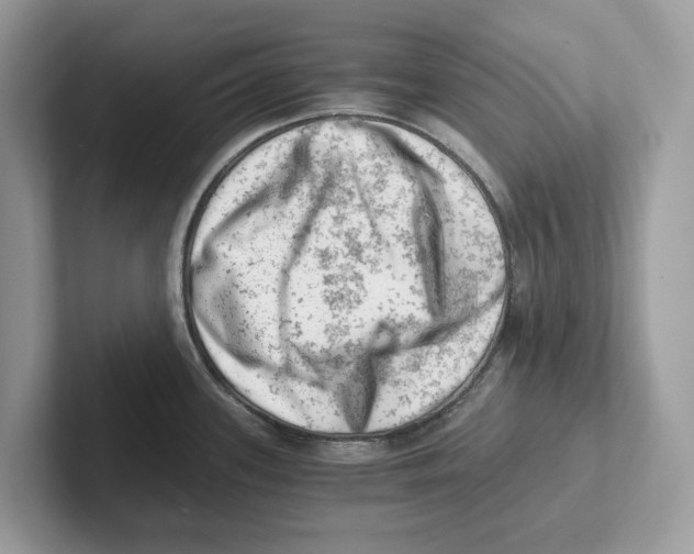 X0000100931339200807221129