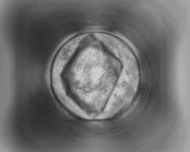 X0000100931341200807221129