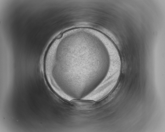 X0000100931342200807221129