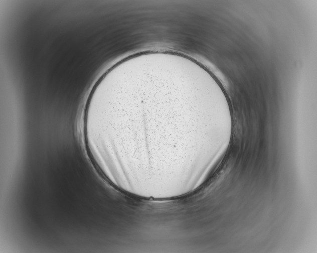 X0000100931343200807221129