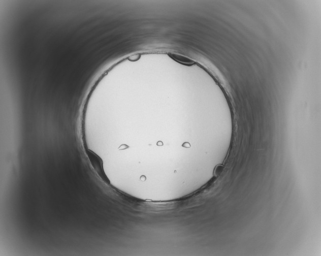 X0000100931344200807221129