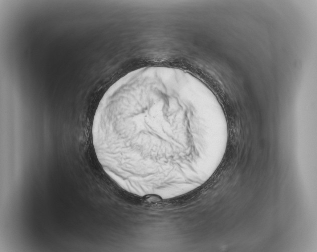 X0000100931349200807221128