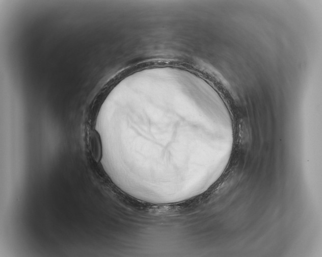 X0000100931352200807221128