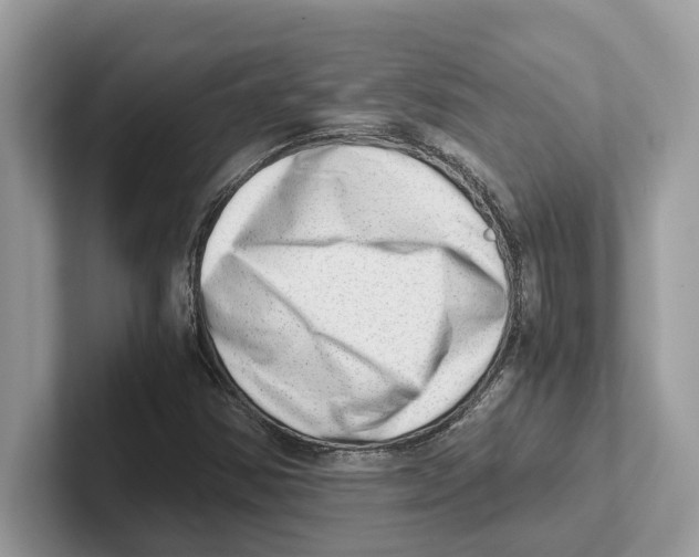 X0000100931354200807221128