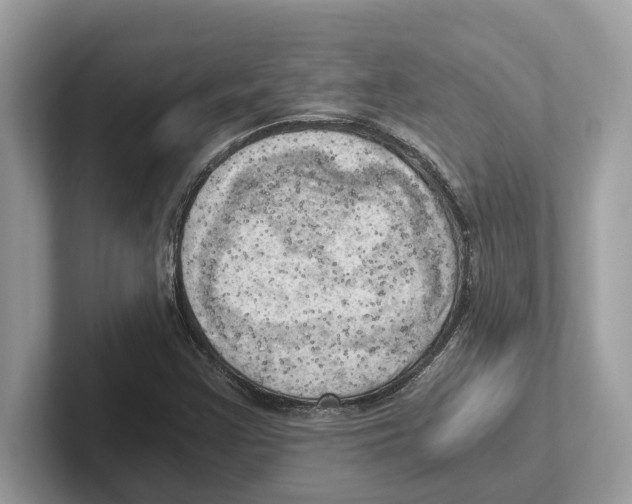 X0000100931355200807221128