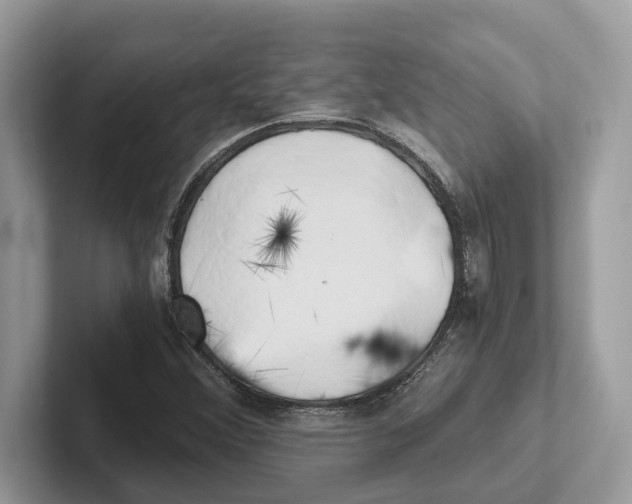 X0000100931356200807221128