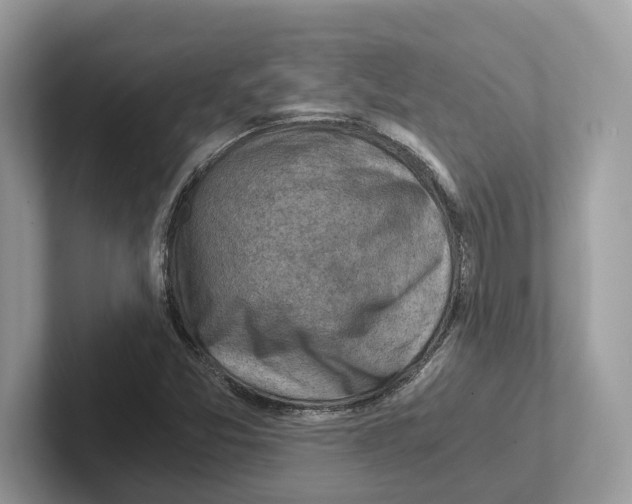 X0000100931357200807221128