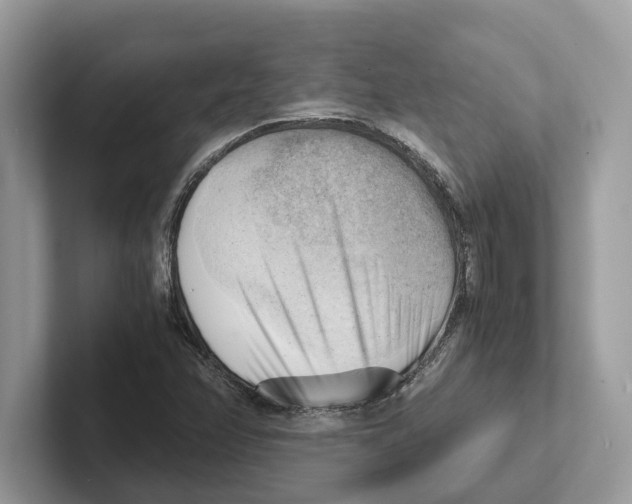 X0000100931358200807221128