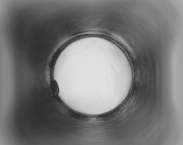 X0000100931360200807221128