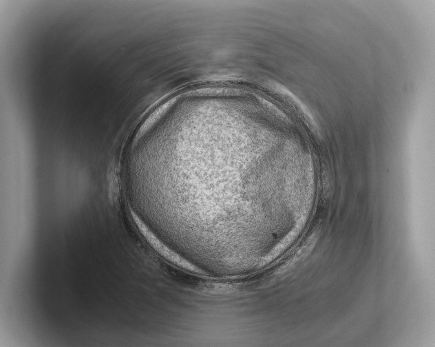 X0000100931361200807221128