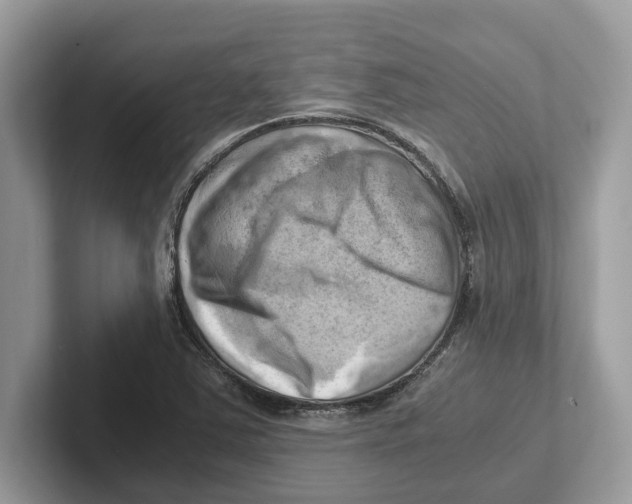 X0000100931363200807221128