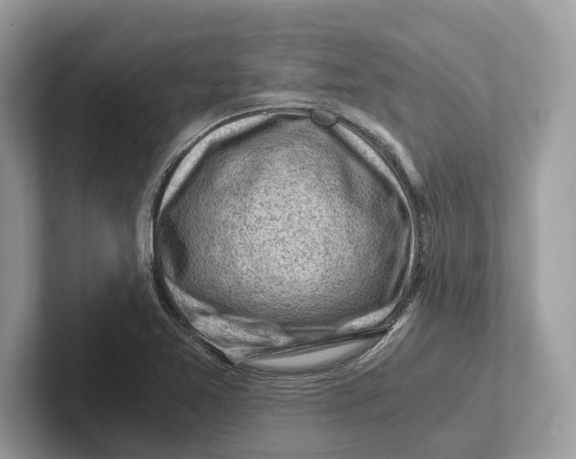 X0000100931365200807221128