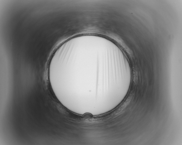 X0000100931366200807221128