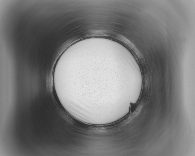 X0000100931370200807221128